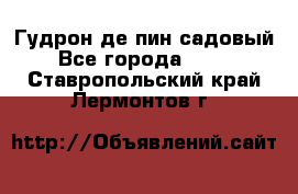 Гудрон де пин садовый - Все города  »    . Ставропольский край,Лермонтов г.